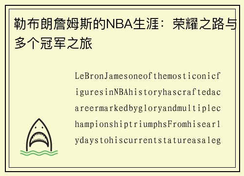 勒布朗詹姆斯的NBA生涯：荣耀之路与多个冠军之旅